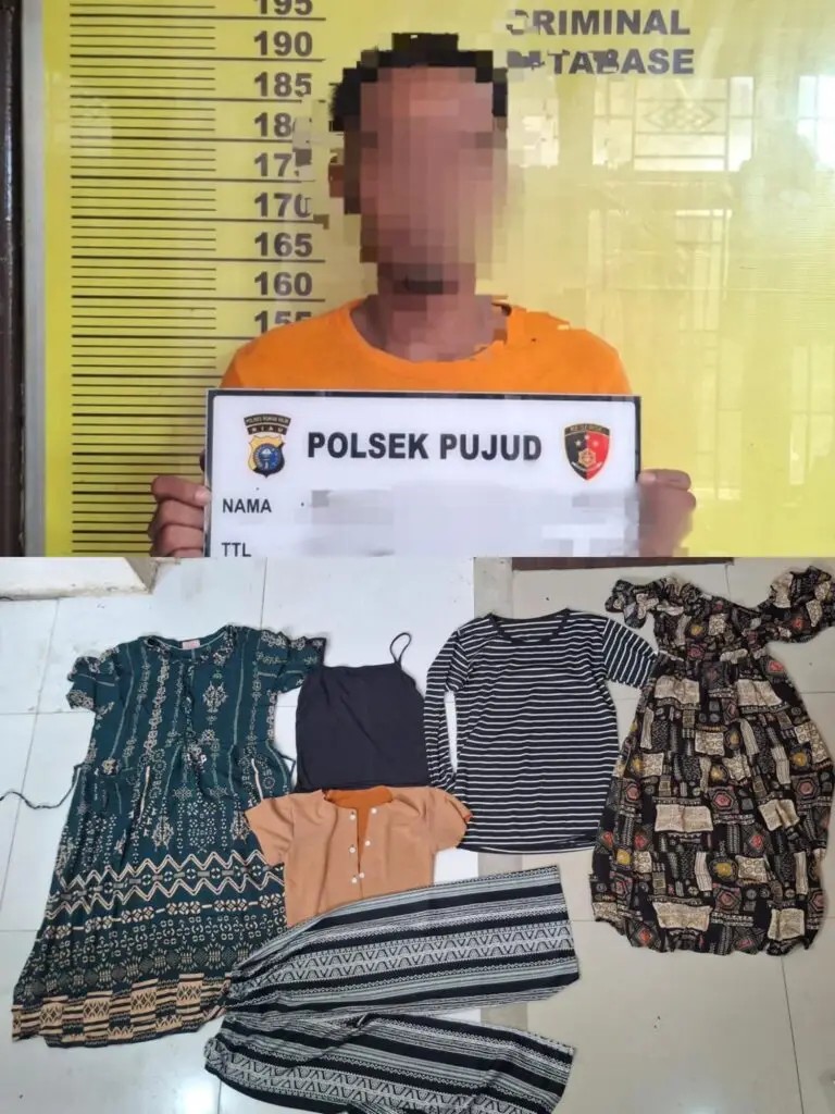 Unit Reskrim Polsek Pujud Amankan Pria Terduga Pelaku Persetubuhan Terhadap Anak Dibawah Umur