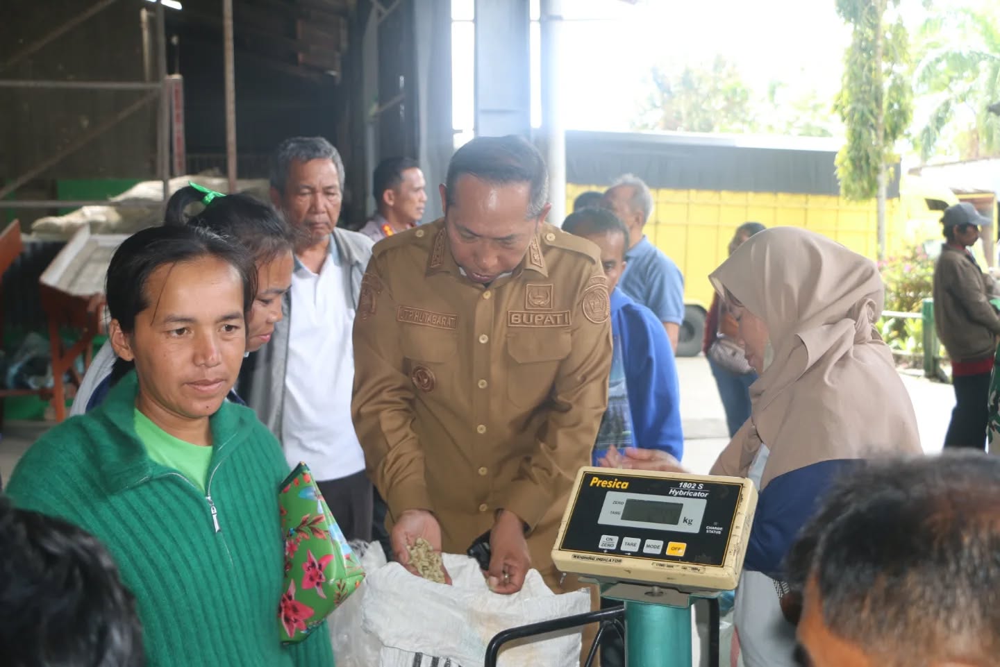 Bupati Taput Tinjau Produksi PT Sumatera Specialty Coffees
